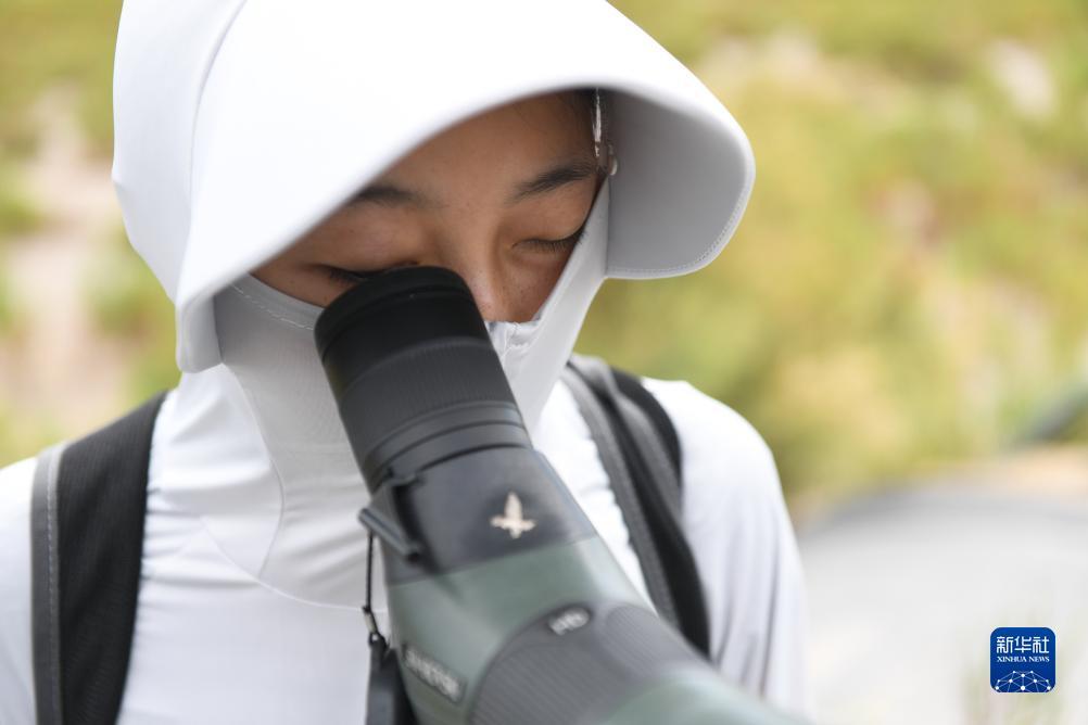民间游戏网站